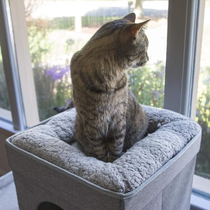 Kitty City Large Stackable Cat Condo & Cube House, Modular Indoor Cat Furniture with Plush Washable Beds, Collapsible Cat Cave & Lounging Ottoman, Grey
