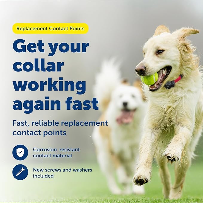 PetSafe Collar Replacement Contact Points