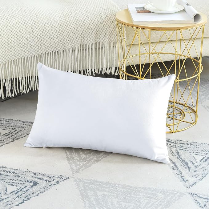 Artscope Luxury Velvet Pillow Covers Decorative Rectangle Pillowcases Soft Solid Cushion Cases for Couch Sofa Bedroom Car Decor 16x24 Inch White