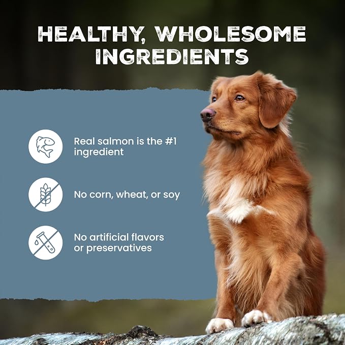 Blue Buffalo Wilderness Salmon Crunchy Dog Biscuits, Grain-Free, 24 oz | Real Salmon #1 Ingredient, High Protein Dog Treats, No Artificial Preservatives