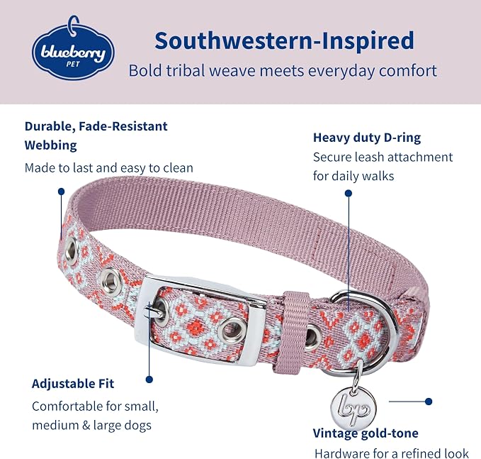 Blueberry Pet Southwestern Modern Tribal Print Thistle Braided Adjustable Dog Collar with Metal Buckle, Neck 13-16.5", for Medium Breed