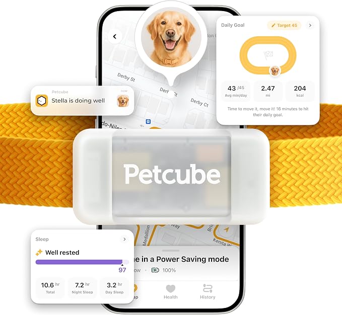 Petcube GPS Tracker for Dogs – Real-Time GPS Tracking | Escape alerts, virtual fences, activity & wellness monitoring, water & dust resistant