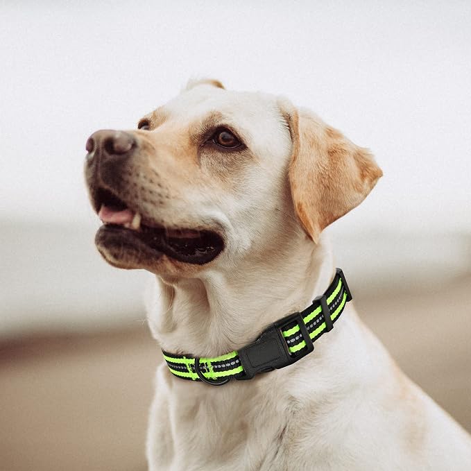 Mile High Life Reflective Dog Collar, Adjustable Lightweight Quick Release