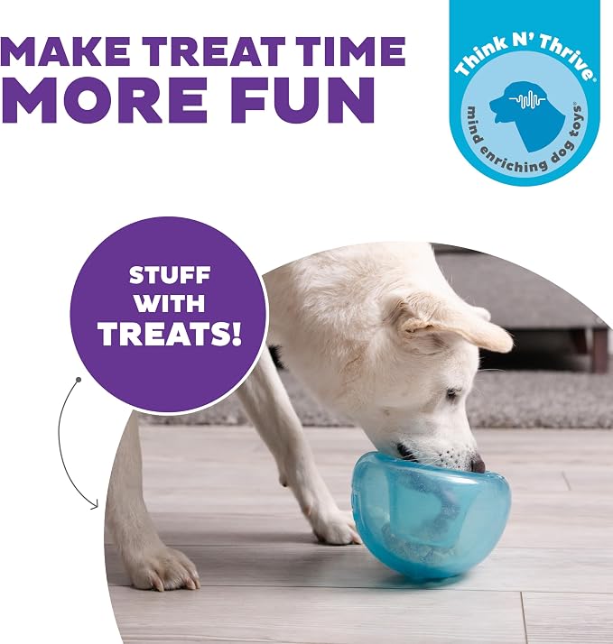 Outward Hound Snoop Interactive Treat Dispensing Dog Toy, Blue, 5" | Rolls & Bounces, Treat Stuffer, Puzzle Ball & Slow Feeder, Enrichment, Mint Scented, Easy Clean, No BPA, Medium to Large Dogs