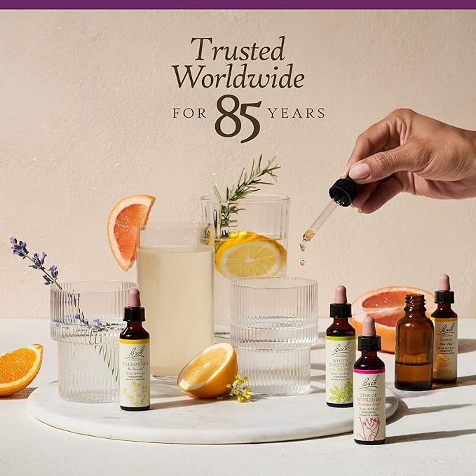 Bach Original Flower Remedies, Water Violet - Connect with Others - Natural Homeopathic Flower Essence for Emotional Balance - Vegan, Gluten Free, Sugar Free - 20mL Dropper