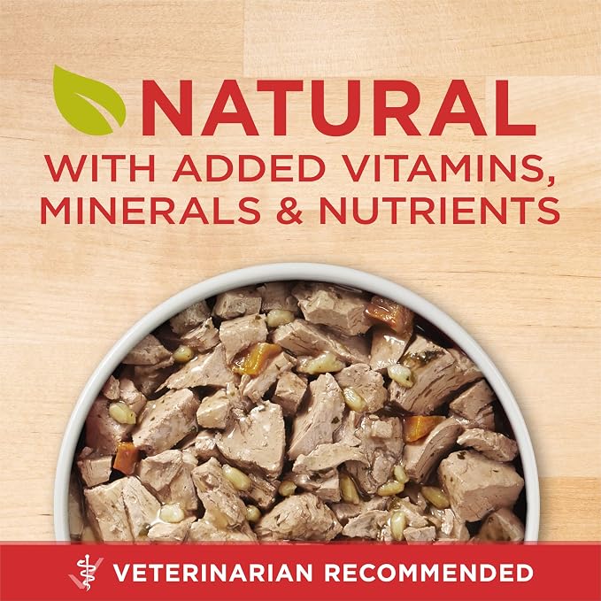 Purina ONE Chicken & Brown Rice Wet Dog Food, Tender Cuts, (12) 13 oz Cans | Tender Cuts in Gravy, natural, high protein dog food with zero fillers and added vitamins, minerals, and nutrients