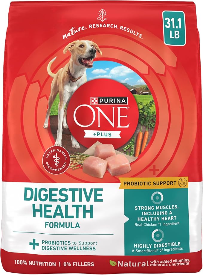 Purina ONE Plus Digestive Health Dry Dog Food, Chicken, 31.1 lb Bag | High protein dog food with probiotics for digestive support, made for adult dogs with sensitive stomachs