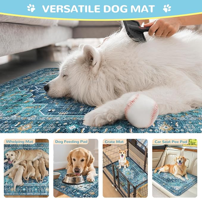Lahome Super Absorbent & Leakproof Washable Dog Pee Pads - 2 Pack Value Set - Waterproof, Non-Slip Reusable Pads for Puppy Training, Crates & Whelping (24"x24", Blue)