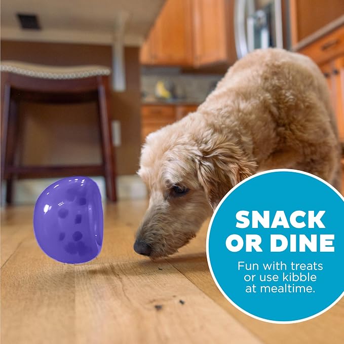 Outward Hound Lil' Snoop Interactive Treat Dispensing Dog Toy, Purple, 3.9" | Rolls & Bounces, Treat Stuffer, Puzzle Ball & Slow Feeder, Mint Scented, Easy Clean, No BPA, Enrichment, Small to Medium Dogs