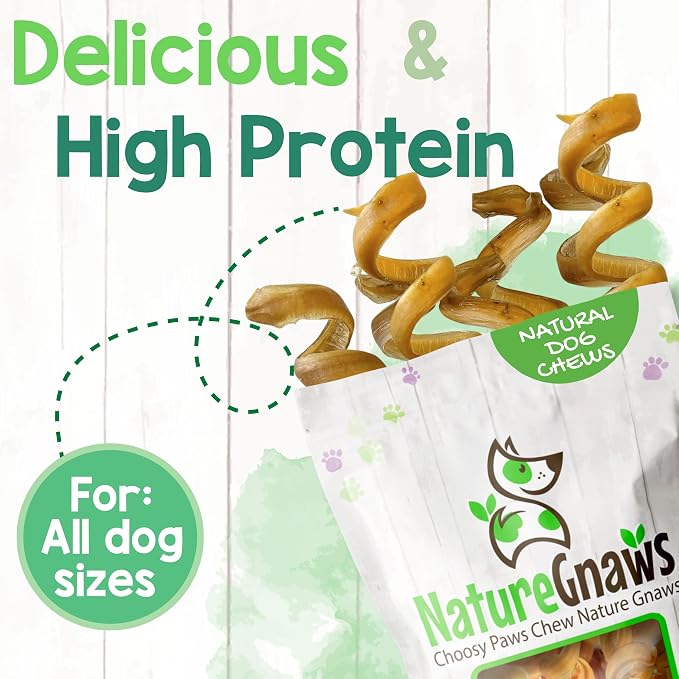Nature Gnaws Bully Stick Springs 7-8" Rawhide Free Dog Chews, 6 Count