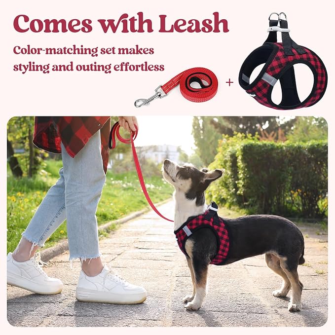 rabbitgoo Dog Harness Small Sized and Leash Set, Step-in Puppy Pet Vest | Light, Soft, Breathable Air Mesh, Easy on and Remove with Hook & Loop, Secure Reflective for Walking, Red Check XS