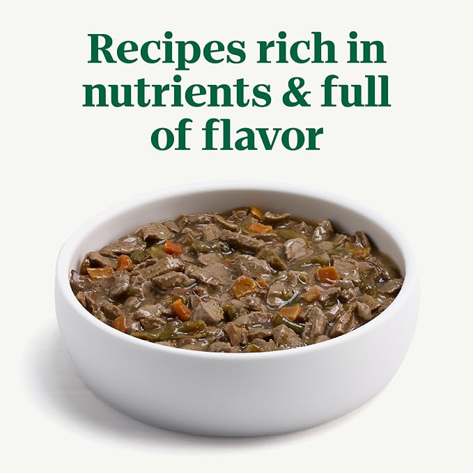 Nutro Hearty Stew Wet Dog Food, Meaty Lamb, 12.5 oz, 12 Pack | Grain-free, real lamb #1 ingredient, cuts in gravy, no corn, wheat, soy, made in USA facilities, canned dog food