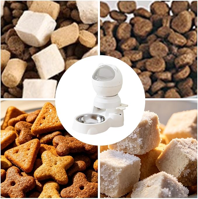 Automatic Feeder Automatic Memory Training Dish