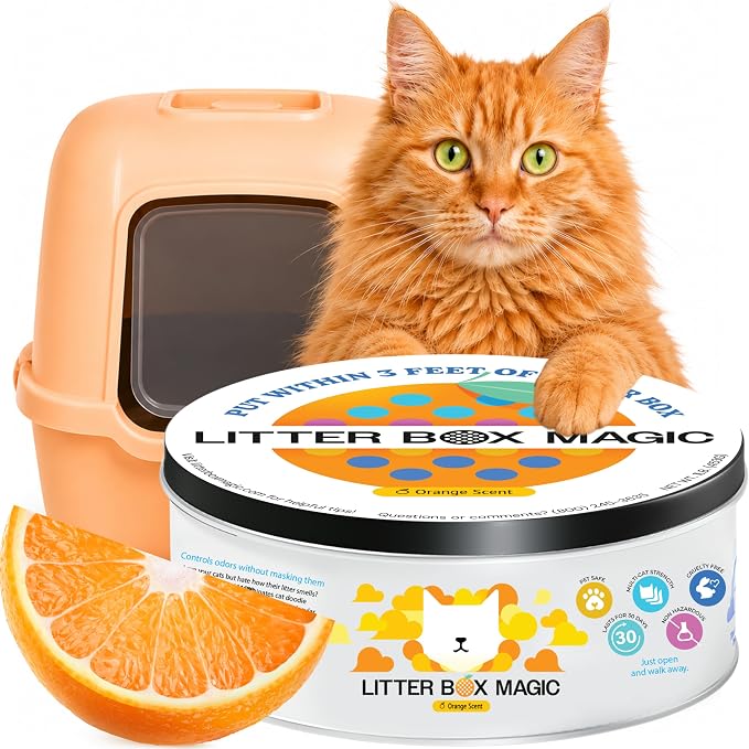 Litter Box Magic Cat Litter Deodorizer Gel, Orange Scent, 16 Oz, Pack of 1 | Odor-Absorbing Gel Jar Neutralizes Cat Litter Box Odors with a Fresh Orange Scent. Multi-Cat Smell Eliminator. Non-Toxic.