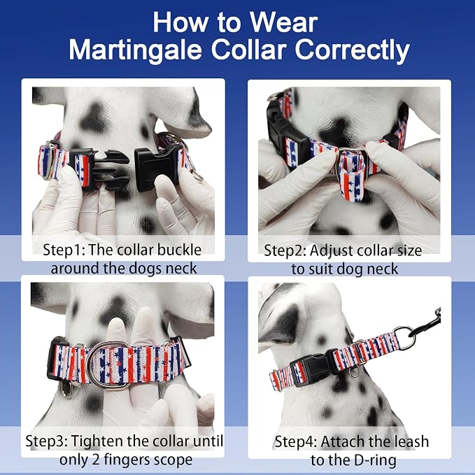 American Flag Martingale Dog Collar 4th of July Patriotic, Large