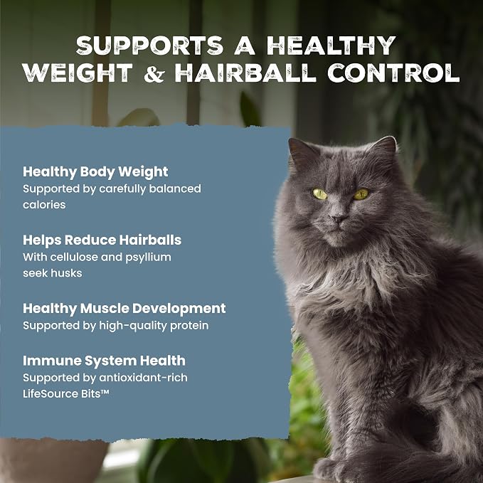Blue Buffalo Wilderness Indoor Hairball & Weight Control Dry Cat Food, 11lb | High Protein, Real Chicken #1 Ingredient, Supports a Healthy Weight in Adult Cats, Promotes Healthy Digestion