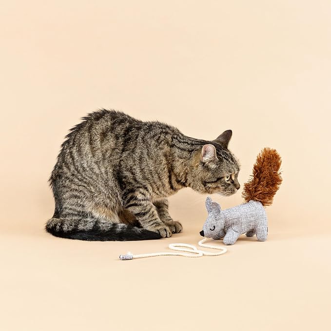 Fringe Studio ONE TUFF NUT Teaser Cat Toy, PetShop Collection (717001)