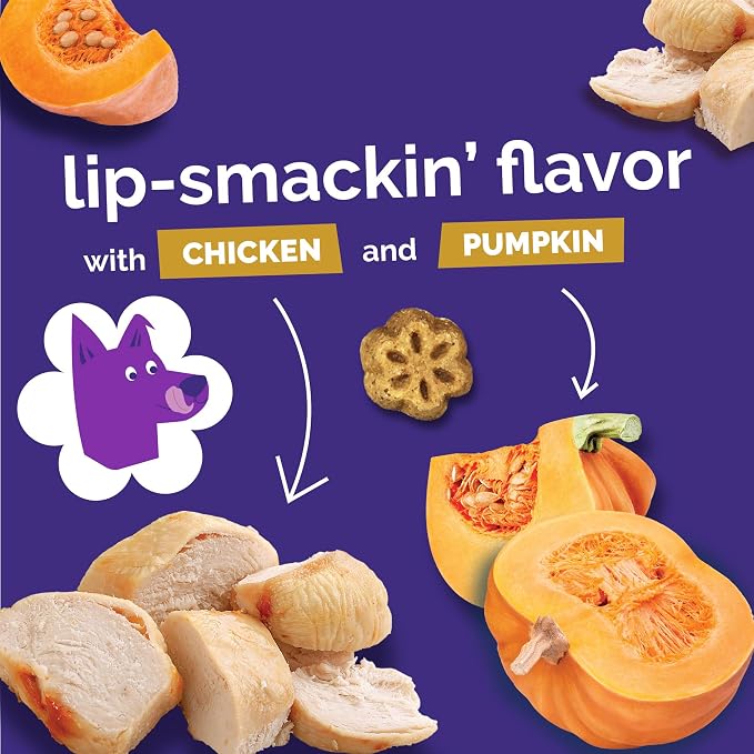 Fruitables Skinny Minis Dog Treats,Healthy Pumpkin Treat for Dogs,Low Calorie & Delicious,Puppy Training,No Wheat,Corn or Soy,Made in the USA,Rotisserie Chicken Flavor,5oz,(Pack of 2)