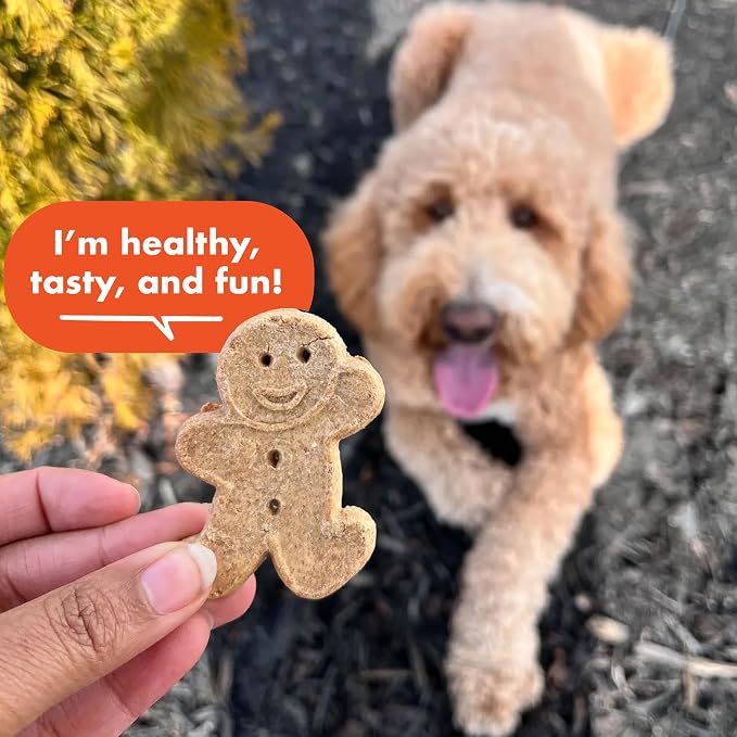 Buddy Biscuits Grain Free Dog Treats, Large Size Treat, Peanut Butter | Grain Free, Large Size Treat, Natural Peanut Butter, Simple Ingredients, Baked in the USA, 14 Oz.