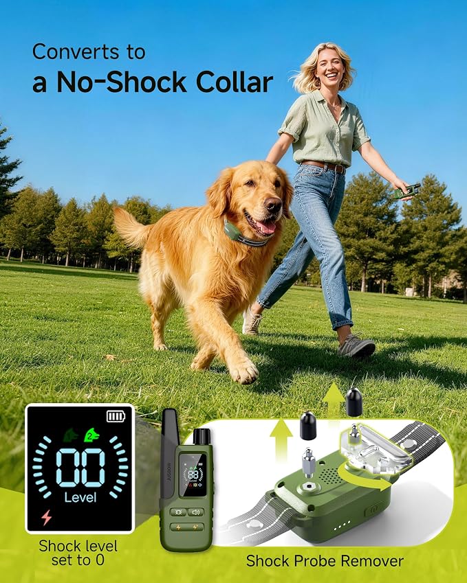 Shock Collar for 2 Dogs with Remote, 4200FT Range, Fits 10-120 lbs