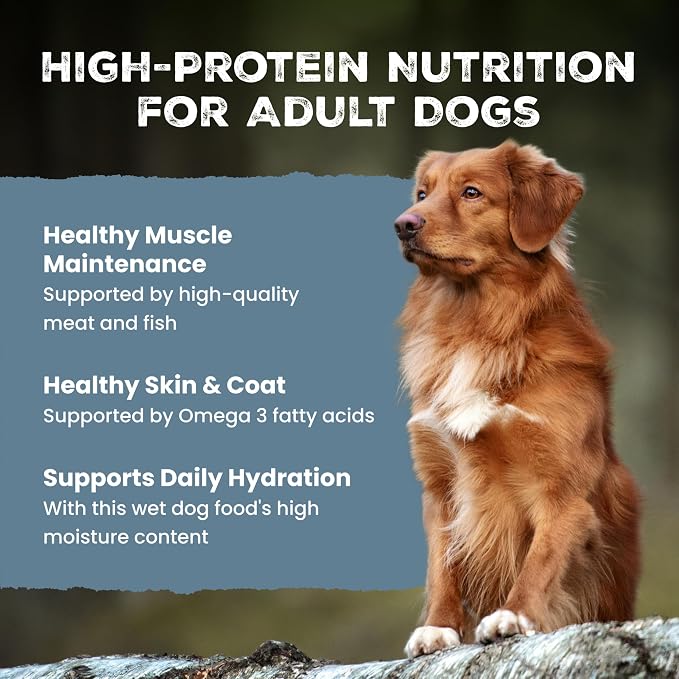 Blue Buffalo Wilderness Variety Pack Adult Wet Dog Food, 12.5 oz, 6 ct | Beef & Chicken Grill and Chicken & Salmon Grill (3 of each), High Protein & Grain-Free Recipes, Natural Ingredients