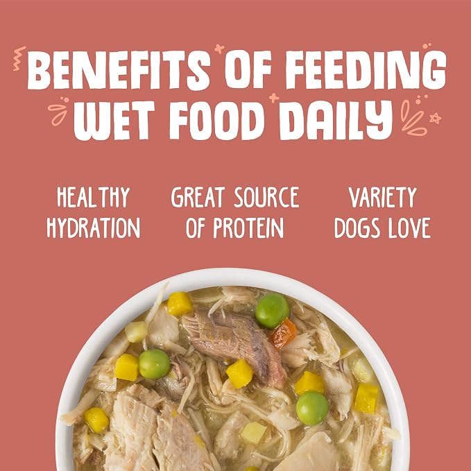 Weruva Classic Dog Food, Jammin' Salmon with Chicken & Salmon in Gravy, 14oz Can (Pack of 12)