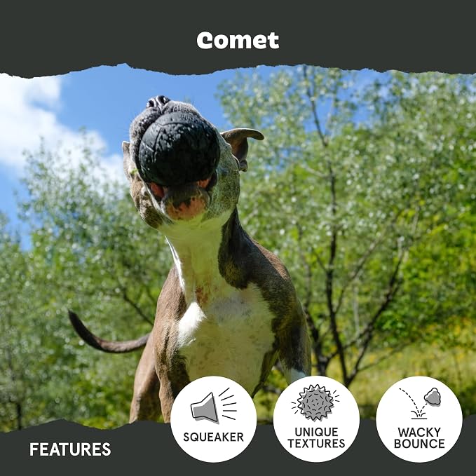 BarkBox Comet Super Chewer - Toy for Small Dogs