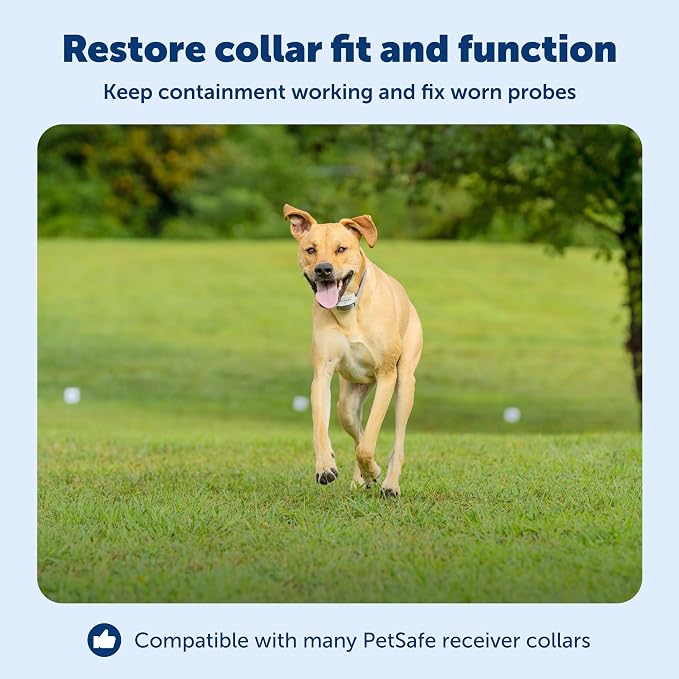 PetSafe Collar Replacement Contact Points