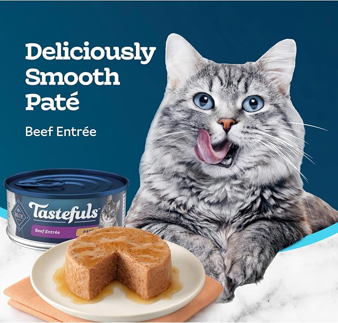 Blue Buffalo Tastefuls Beef Paté Wet Cat Food, 5.5 oz, 24 ct | Real Beef First, Paté Style, No Chicken By-Product, Corn, Wheat, or Soy