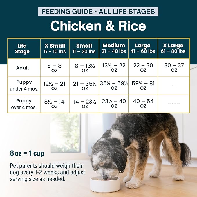 JustFoodForDogs Pantry Fresh Wet Dog Food,Complete Meal or Dog Food Topper,Chicken & White Rice Human Grade-Dog-Food Recipe - 12.5 oz,(Pack of 24)