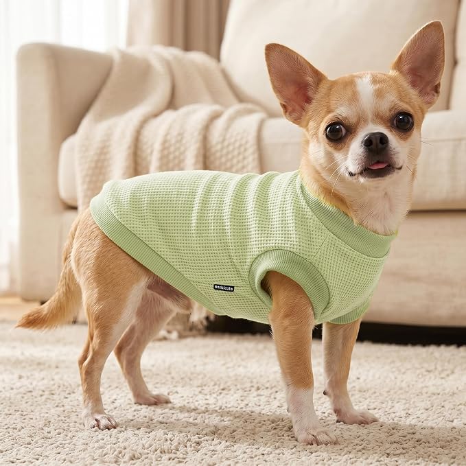 1 Pack Dog Shirt for Small Supplies Functional Waffle Dog Clothes Warm Soft Sweatshirt Outfit for Dogs Cats Pet Apparel