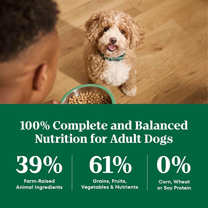 Nutro Natural Choice Small Bites Dry Dog Food, Lamb & Rice, 5 lb | Non-GMO, Real lamb #1 ingredient, no corn, wheat, soy, crafted in USA, supports energy, bones, muscles, dental health, skin