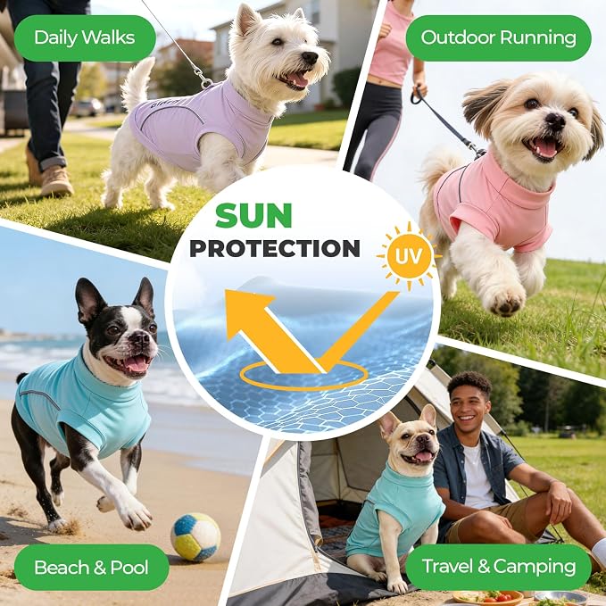 ABRRLO 3-Pack Reflective Dog Shirts for Small Medium Dogs Sun Protection Lightweight Puppy Cat T-Shirt with D-Ring,Soft Stretchy Dog Cooling Vest Cute Puppy Clothes Girl Summer Pet Outfits