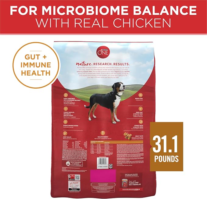Purina ONE Chicken & Rice Formula Dry Dog Food, 31.1 lb Bag | High protein dog food with a microbiome balance and SmartBlend of ingredients like prebiotic fiber for gut and immune support