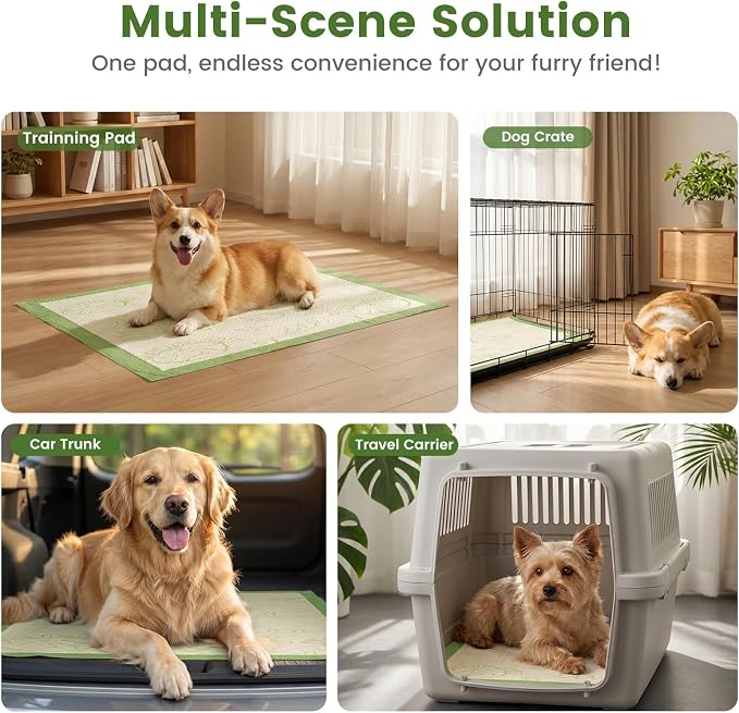 Gardner Pet Pee Pads for Dogs 19"X30" with Adhesive 10 Count, Large Disposable Dog Pee Pads, Non-Slip Puppy Training Pads for Crate/Cage/Carrier