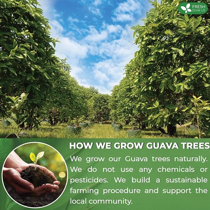 FreshDrinkUS, Premium 100+ Natural Guava Leaves, Whole Dried Leaves, 100% Pure, Natural Guava Loose Leaf Herbal Tea, No Additives, No Caffeine, Vegan