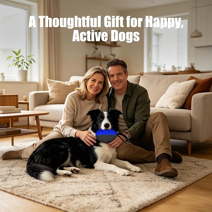 Heavy Duty Dog Chew Ball for Aggressive Chewers, Interactive Bite Ball for Tug of War Fetch, Dogs Indoor Outdoor (Blue)