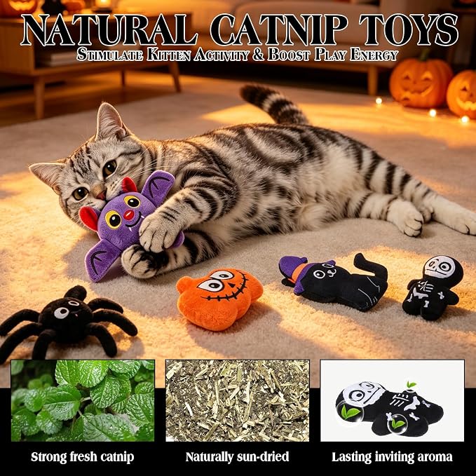 EXPAWLORER 5Pcs Halloween Catnip Toys for Cats-Pumpkin, Bat, Spider, Skeleton & Witch Cat, Cat Chew Toy with Crinkle Paper for Interactive Play & Relieve Boredom, Perfect for Teething Exercise & Gift