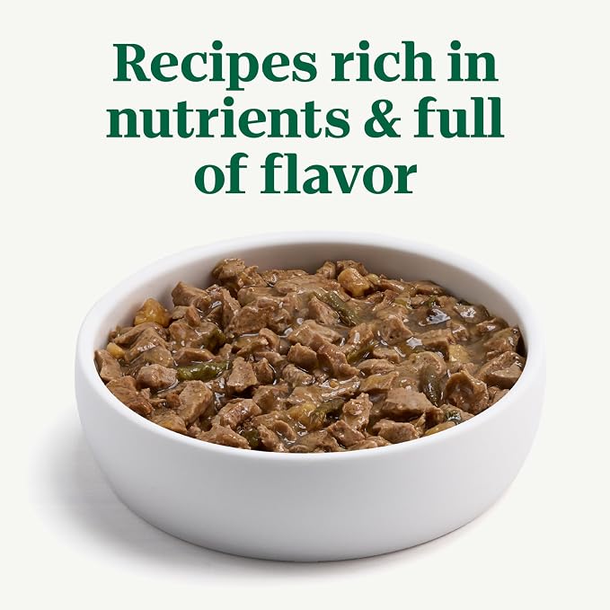 Nutro Hearty Stew Wet Dog Food, Roasted Turkey, 12.5 oz, 12 Pack | Grain-free, real meat #1 ingredient, no corn, wheat, soy, natural ingredients, made in USA, canned dog food