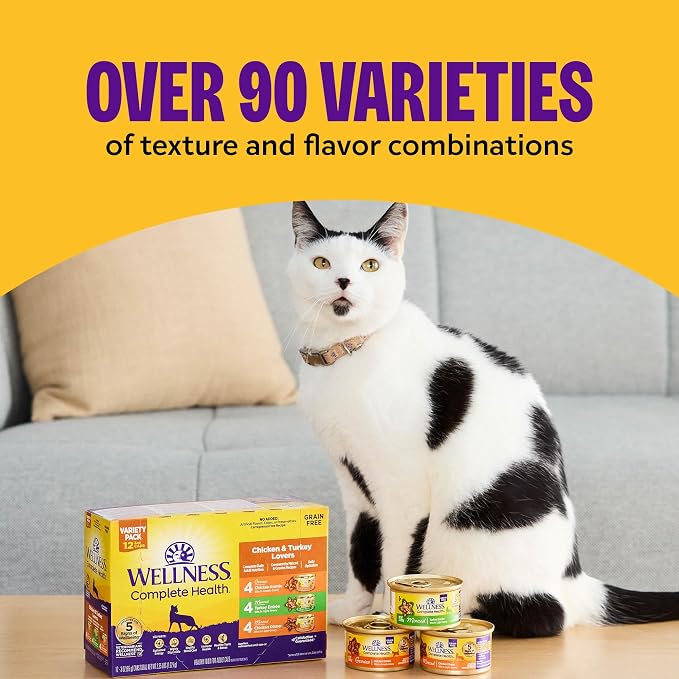 Wellness Complete Health Gravies Adult Canned Wet Cat Food, Natural, Protein Rich, Grain Free, Salmon Entrée Recipe, 5.5 oz, Pack of 12 Cans