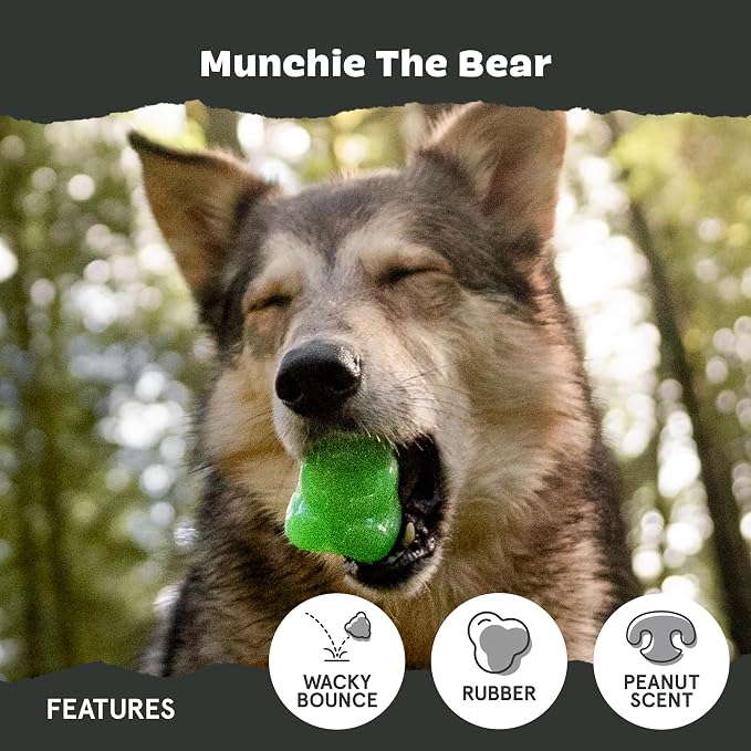 BarkBox Munchie The Bear Dog Toy - for Dogs up to 20 lbs - Small
