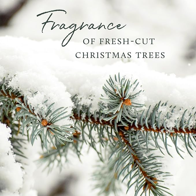 Thymes Hand Wash - 15 Fl Oz - Frasier Fir