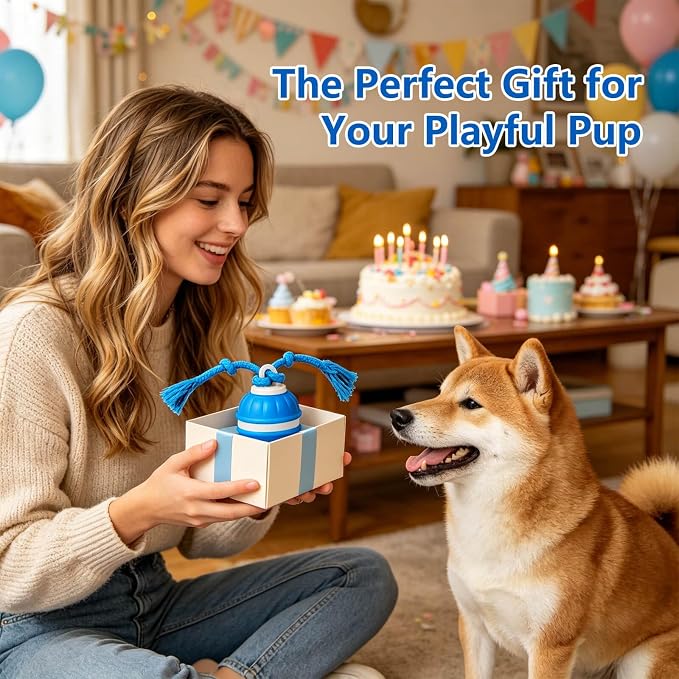 Interactive Dog Ball, 360° Self-Moving, USB-C, LED and Squeaker