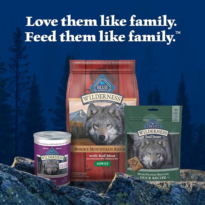 Blue Buffalo Wilderness Trail Treats Duck Crunchy Dog Biscuits, 10 oz | Real Duck #1 Ingredient, High Protein & Grain-Free Dog Snacks, Great for Training, No Artificial Preservatives