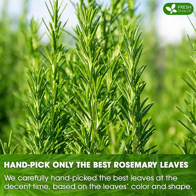 FRESHDRINKUS, Premium 100 Rosemary Leaf Tea Bags, 100% Natural and Pure Rosemary Dried Leaves, Pure Rosemary Herbal Tea, No Additives, No Caffeine, No Gluten, Vegan.