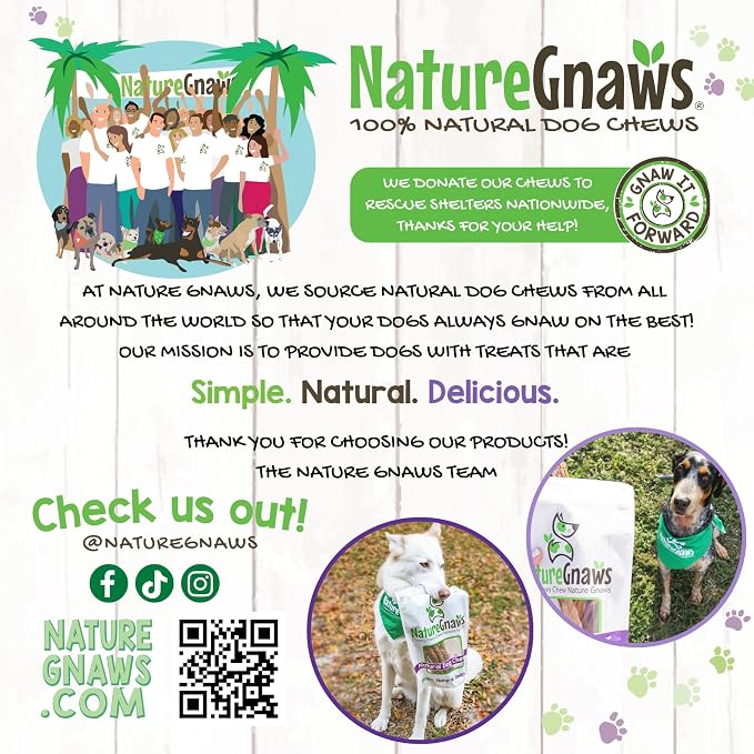 Nature Gnaws Small Bully Sticks 5-6" Rawhide Free Dog Chews, 5 Count | Long Lasting for Light Chewers and Puppies - Natural Thin Beef Dog Chew Bones - No Artificial Preservatives