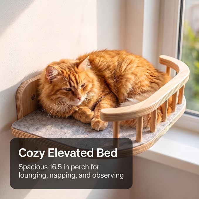 Cat Wall Shelves, Floating Bed with 3 Cat Wall Steps - Natural | Pre-Drilled Anchor Kit for Easy Mount, Cozy Spot for Climbing & Play, Indoor Cats up to 18 lbs, Solid FSC Birch Wood