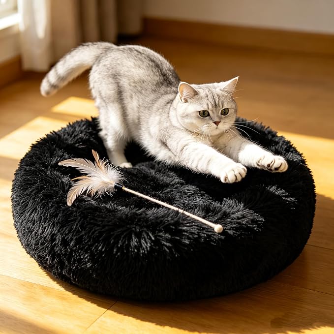 Cat Beds for Indoor Cats - Cat Bed Washable 20/24 inches, Dog Beds for Small Medium Dogs, Anti Anxiety Round Fluffy Plush Faux Fur Cat Bed, Thick Bottom (Dark, Medium)