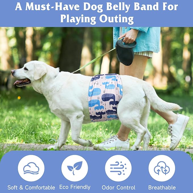5 Pack Dog Diapers Male Reusable, Premium Belly Bands for Dogs, High Absorbing Male Dog Pee Wraps for Doggie in Incontinence or Excitable Urination,Squirrel S