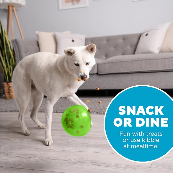 Outward Hound Snoop Interactive Treat Dispensing Dog Toy, Green, 5" | Rolls & Bounces, Treat Stuffer, Puzzle Ball & Slow Feeder, Enrichment, Mint Scented, Easy Clean, No BPA, Medium to Large Dogs